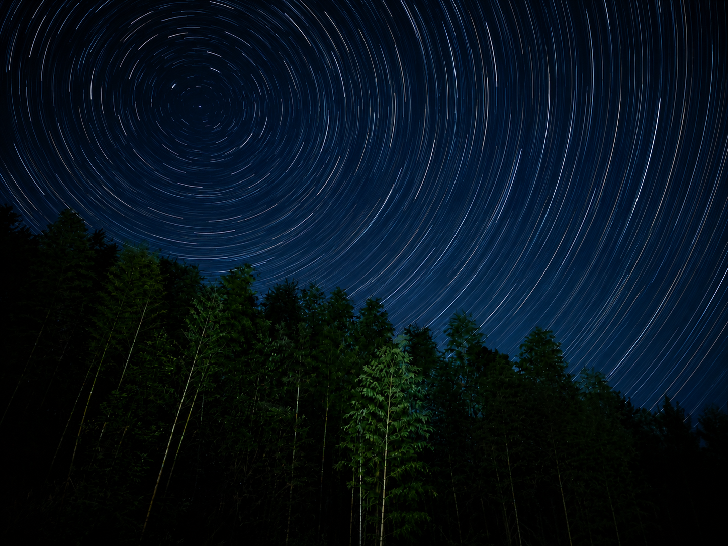 夏空星轨与竹林