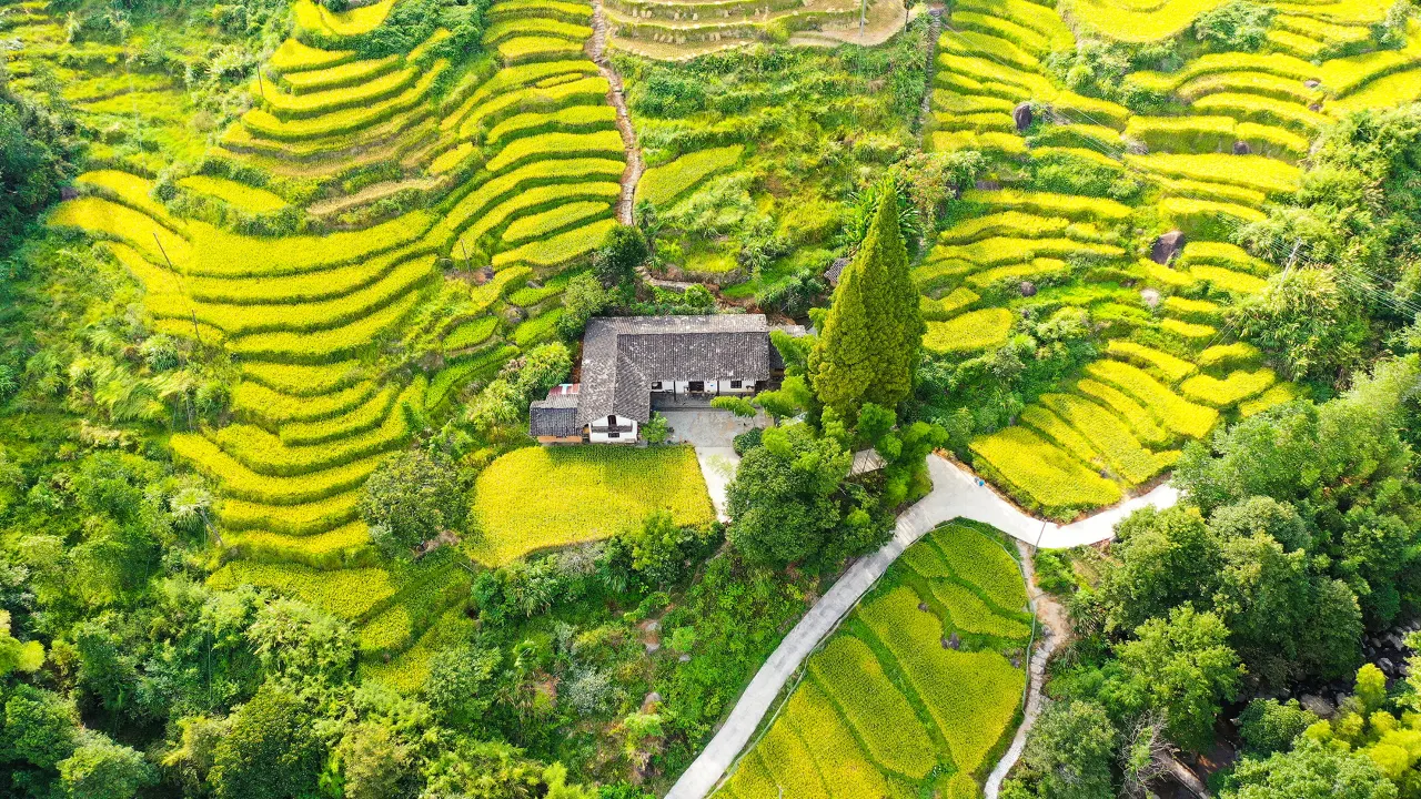 层层叠叠的湖洋梯田航拍景观